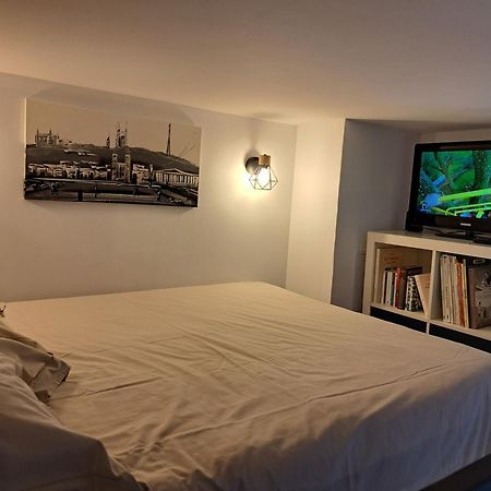 Studio Cosy Entierement Renove A Deux Pas De Lyon Fontaines-sur-Saone Εξωτερικό φωτογραφία