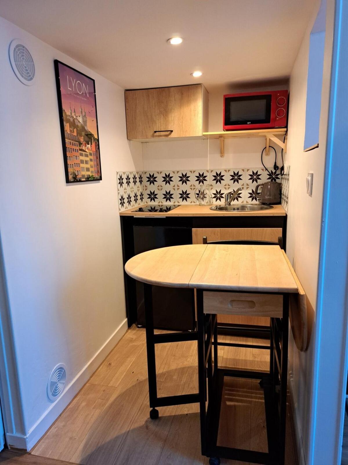 Studio Cosy Entierement Renove A Deux Pas De Lyon Fontaines-sur-Saone Εξωτερικό φωτογραφία